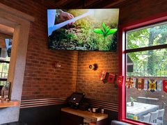 -Boxing Cat Brewery拳击猫精酿啤酒馆(永福店)