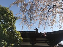 -西安青龙寺遗址景区