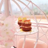 🌸夢幻熱氣球·櫻花tea set🔮