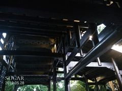 -活水公园