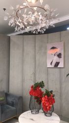 点击看大图 -八佰伴8008星级形象店