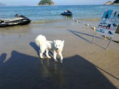 -西涌国际滨海旅游区