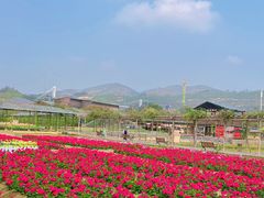 -盈香心动乐园