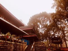 -峨眉山报国寺