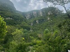-幽岚山·童话森林