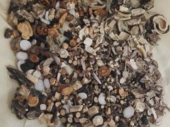 -秉正堂中医门诊部公司(新乐路店)