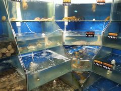 水产区-雅逸居海鲜小厨