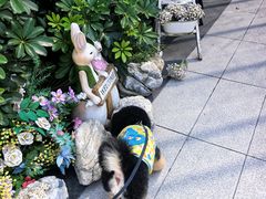 -京北渔家傲