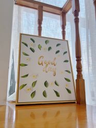 -安那般那皮肤年轻化ANAPANA