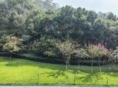 -龙头寺公园
