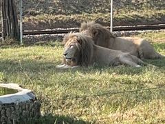 -秦皇岛野生动物园
