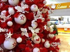 -谢列梅捷沃国际机场