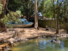 -费瑟代尔野生动物园