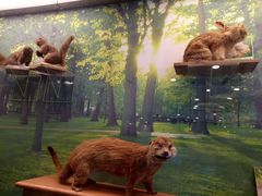 -下渚湖国家湿地公园科普馆