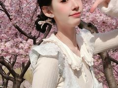 -桃花堤公园