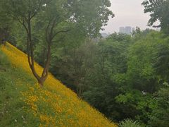 -西湖风景区-江洋畈生态公园