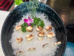 -纯味斑鱼府(中海环宇荟店)