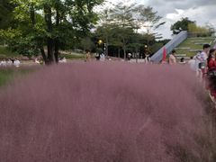 -牛岗山公园