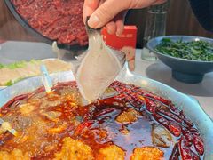 -渝大龙重庆火锅(温泉月亮湾店)