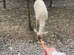 -常州淹城野生动物世界