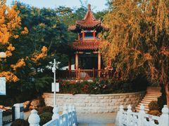 -大连植物园