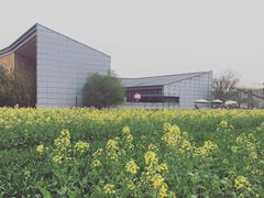 -田园东方蜜桃村的田野营地