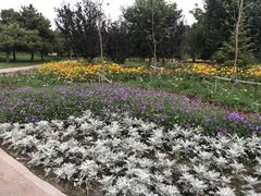 -长春公园(普阳街道)