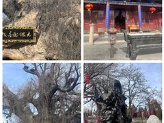 -大槐树寻根祭祖园