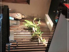 -青檸泰 LIME THAI (财富购物中心店)