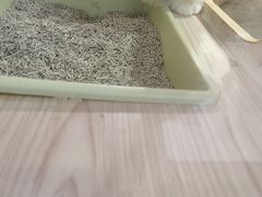 -屋虎猫馆(宝安大仟里店)
