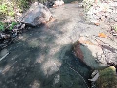 -同里国家湿地公园