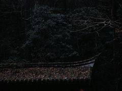 -四明山国家森林公园