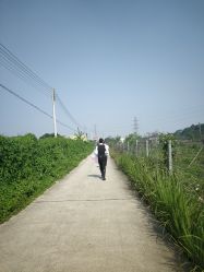 点击看大图 -金夫人婚纱摄影(华南店)