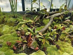 -国家植物园南园