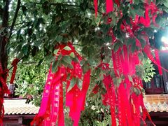 -亭林园-华藏寺