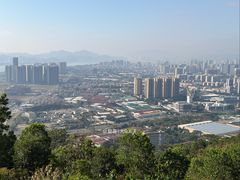-羚羊峡古栈道森林公园