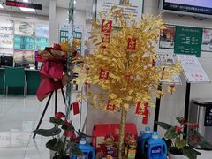 -中国农业银行(上海江苏路支行)