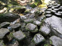 -牛背梁国家森林公园