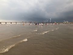 -南汇新城海滩