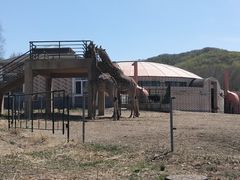 -哈尔滨北方森林动物园