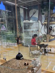 -小象动悟公园(龙湖亦庄天街店)