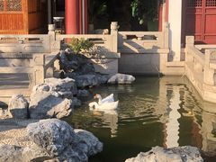 -祝家花園(伯渎港店)