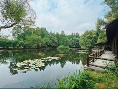 -东湖落雁景区