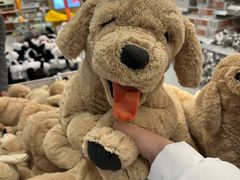 -宜家家居(哈尔滨商场店)