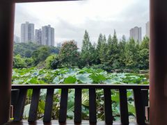 -龙头寺公园