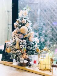 店内环境-M Nails & Beauty美甲美睫美体