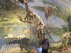 -自贡恐龙博物馆