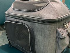 -北京观赏动物医院·24小时大型综合·猫专科·异宠专科