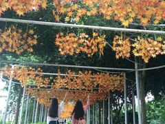 -广州花之恋城堡酒店