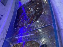 -澜悦港海鲜体验主题餐厅